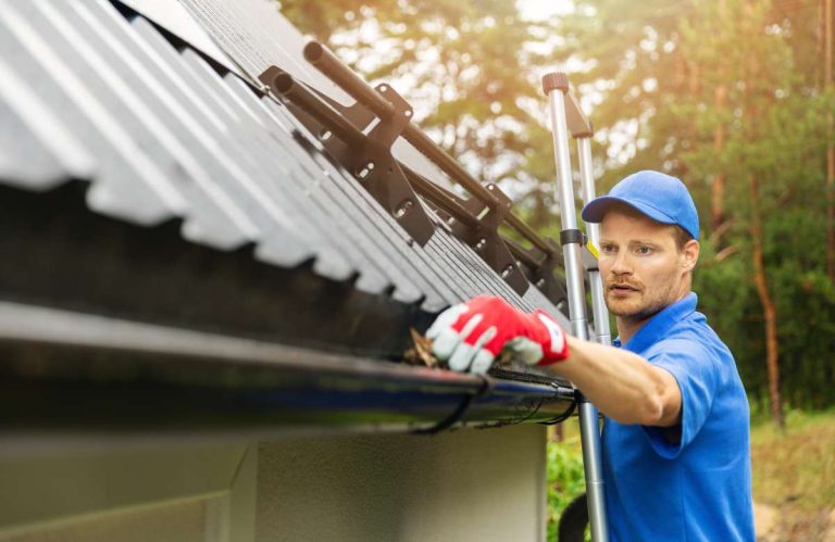 Best gutter services LA