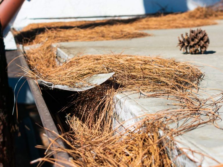 Clean gutters with debris-free water flow, maintained by Hailey's Pro Services