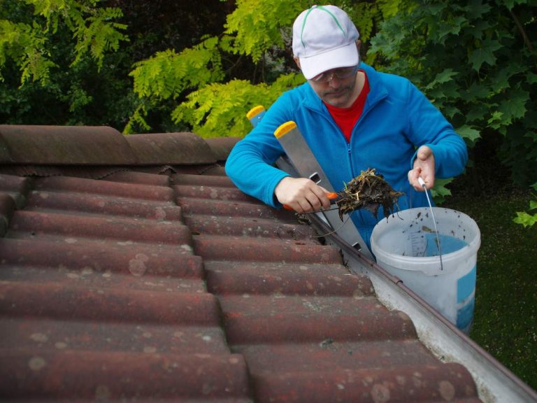 Professional gutter maintenance by Hailey's Pro Services ensuring clean and functional gutters