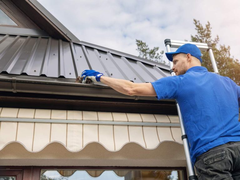 Well-maintained gutters extending the life of the gutter system, serviced by Hailey's Pro Services